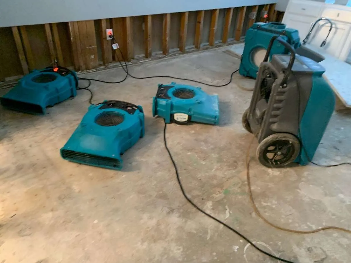 Water Damage Restoration services in Juneau, AK